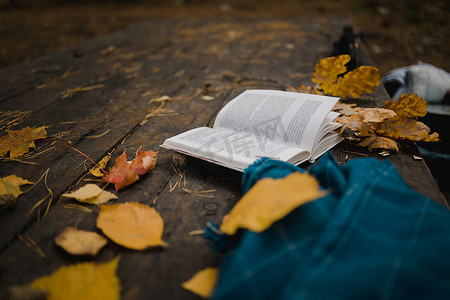 花呢摄影照片_在秋天公园的一张旧木桌上，放着一本打开的书、一件蓝色格子花呢、一个带灯的花环、一杯黄叶和 sos 锥体。