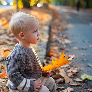 秋天的大自然中，穿着灰色毛衣的漂亮孩子，乡村舒适的场景。
