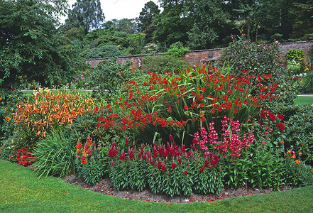 与 crocosmia、penstemon 和金鱼草的红色花边界