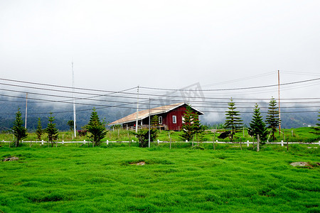 白天沙巴神山奶牛牧场自然风景摄影图