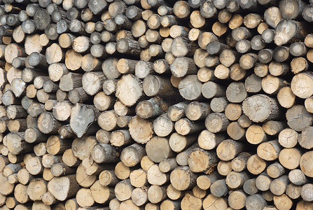 锯木厂背景院子木堆木材原木建筑行业