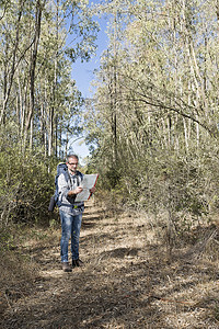树林摄影照片_树林里的徒步旅行者