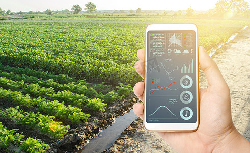 监控数据摄影照片_带有农田种植园背景数据和信息图表的电话。
