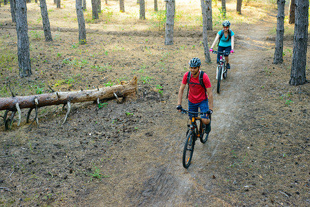 年轻夫妇在松树林里骑山地自行车。