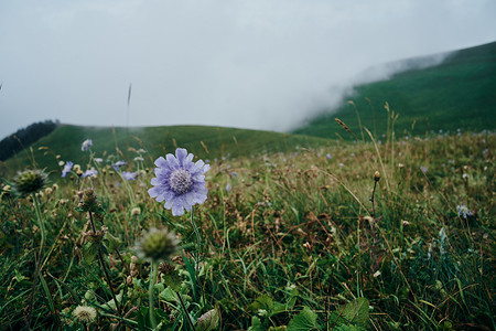 自由摄影照片_田野花山旅行冒险自然自由