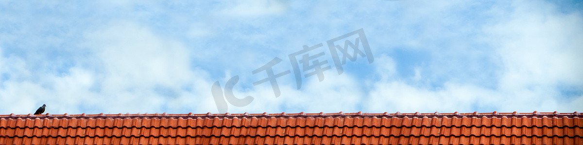 蓝天白云屋顶摄影照片_鸽子站在屋顶和蓝天白云