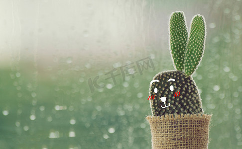 下雨卡通摄影照片_仙人掌与可爱的脸卡通在雨天与水滴在窗口背景。