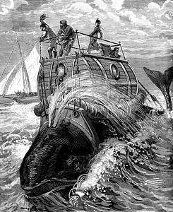 旅行背鲸故事的卷首插画，出版 b