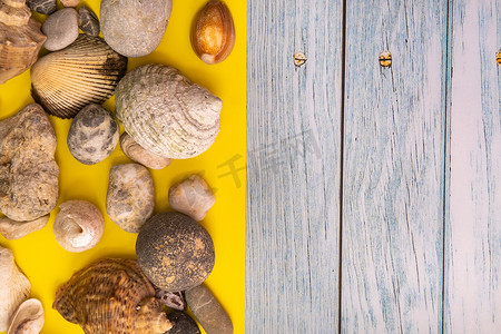 蓝色木质背景和黄色背景上的石头和贝壳。海洋主题