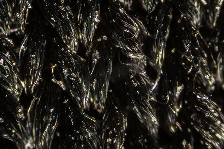 显微镜下的黑色尼龙网布纤维