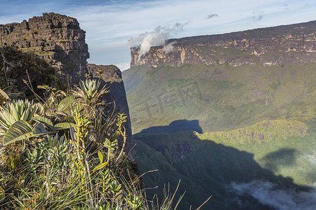 从 Roraima Tepui 上 The Mist - Venez 的景观