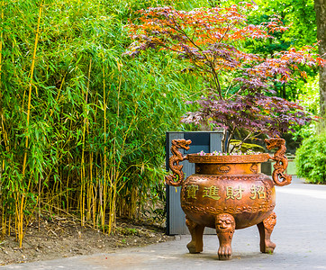漂亮的大锅摄影照片_传统的日本大锅种植机，有一棵宏伟的树，美丽的亚洲花园装饰