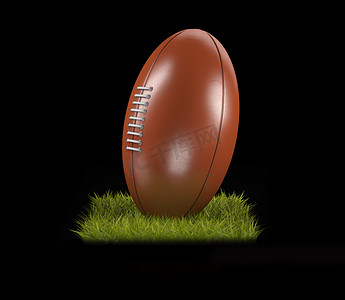 足球的剪贴画摄影照片_草地上橄榄球的 3D 渲染