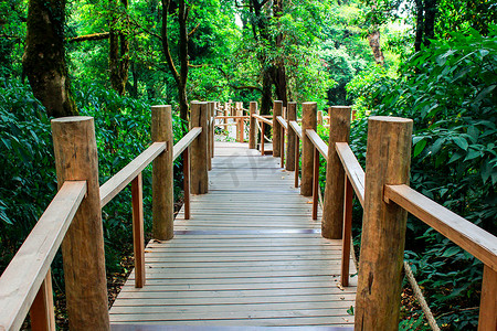 Inthanon山峰自然教育径的木桥走道；