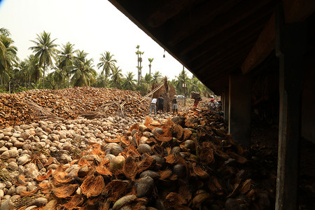 印度椰子工厂工人