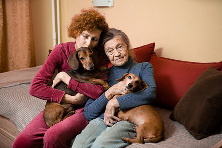 主题是动物疗法，照顾患有痴呆症和阿尔茨海默病的老年人。