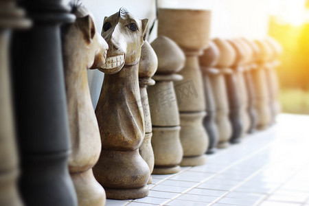 国际象棋骑士摄影照片_由木头制成的国际象棋骑士的滑稽面孔。