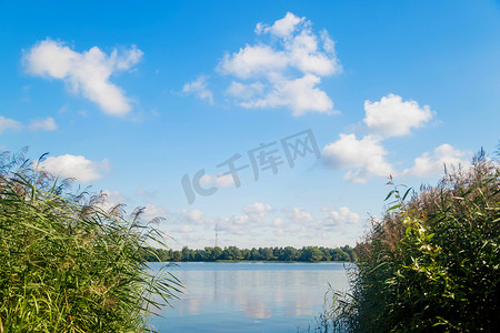 蓝色芦苇摄影照片_湖边的芦苇，映衬着蓝天白云