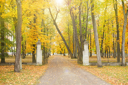 秋天公园的步行路。