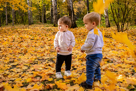 枫叶飘落摄影照片_快乐的孩子们在秋天的城市公园里捕捉枫叶飘落。