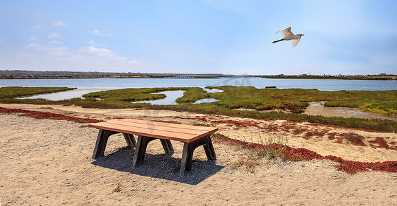 长凳俯瞰着 Bolsa Chica 宁静的沼泽