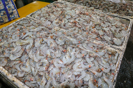 金巴兰海鲜柜台上出售的鲜虾图案。 