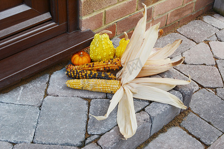 多色印度玉米和装饰性 gou 的秋季装饰