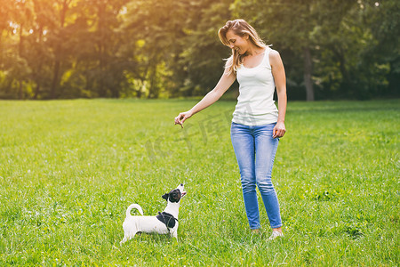 女人在大自然中喂养她的狗杰克罗素梗犬