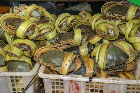 金巴兰摄影照片_金巴兰海鲜柜台上出售的新鲜螃蟹图案。 