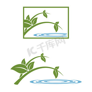 绿叶和水标志模板插图设计。