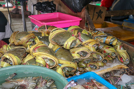 金巴兰海鲜柜台上出售的新鲜螃蟹图案。 