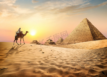 沙漠骆驼摄影照片_沙漠在埃及