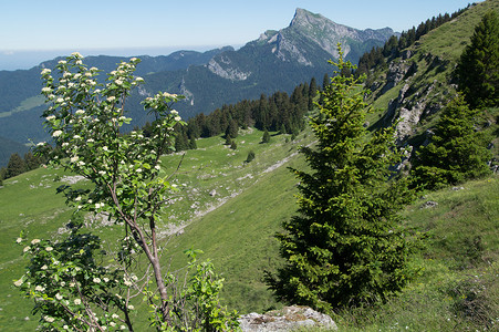 沙特人摄影照片_pravouta 的通行证，圣皮埃尔德沙特勒斯，isere，法国