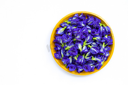 黄蓝紫摄影照片_白色黄盘中的鲜蝴蝶豌豆花或蓝豌豆