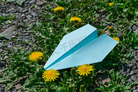 蓝色的纸飞机躺在地上的黄色花草中