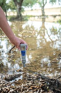 用数字设备测量水分含量。 