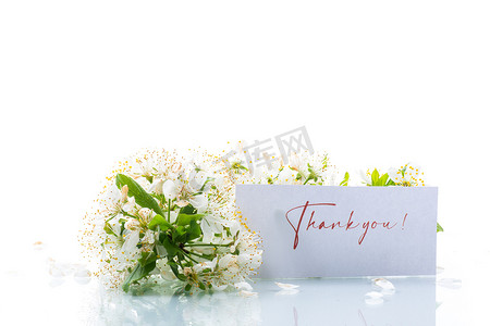 感恩绽放摄影照片_感谢卡和盛开的春枝鲜花