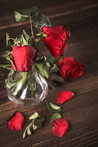 枯萎摄影照片_深灰色背景上枯萎的玫瑰，木桌上有落花和树叶，悲伤情人节浪漫的设计理念，破碎，复制，空间。