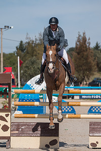 葡萄牙维拉摩拉 — 2016年4月2日：马障碍跳跃比赛