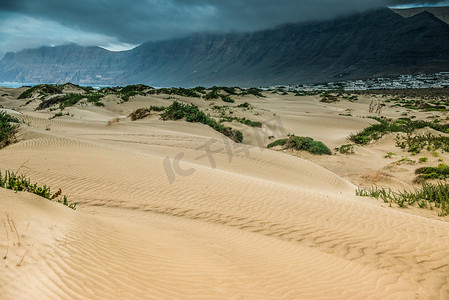 兰萨罗特岛沿海沙丘的金色沙滩