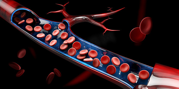 静脉中红细胞的 3d 插图