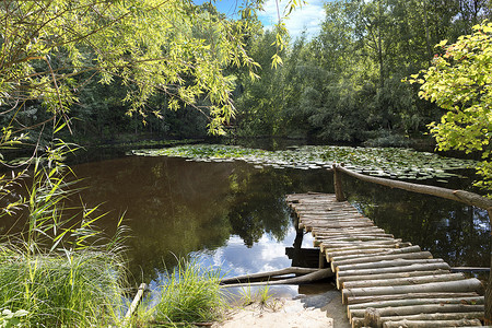 木墩摄影照片_夏日池塘上用实木做成的小木墩