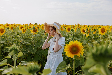 戴帽子的女人向日葵田风景自然阳光休息
