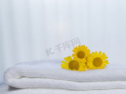 西极摄影照片_一些毛巾上的三朵黄色花朵