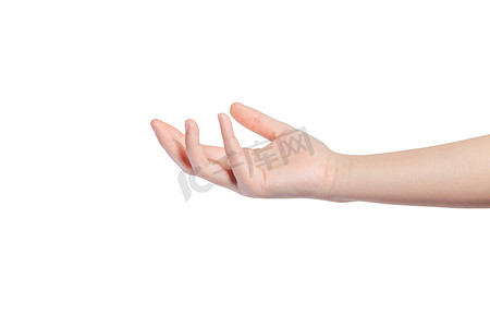 新机发布会摄影照片_女人的手展示和握着不同的手势。