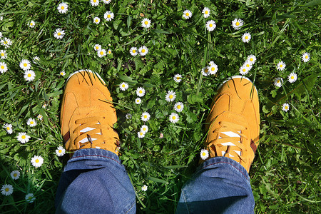 绿色的运动鞋摄影照片_绿草上的运动鞋