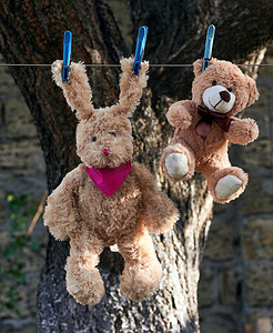 长耳朵的野兔和棕色泰迪熊挂在晾衣绳上