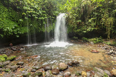 Yeh Ho Waterfall 位于郁郁葱葱的稻田 Penebel