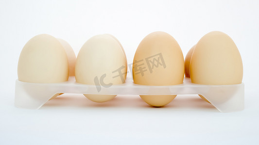 白色背景中托盘中的鸡蛋
