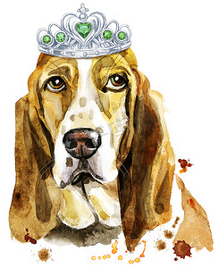 巴吉度猎犬戴冠的水彩肖像